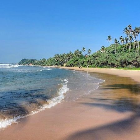 Lion Paradise Surf Beach Matara Eksteriør billede