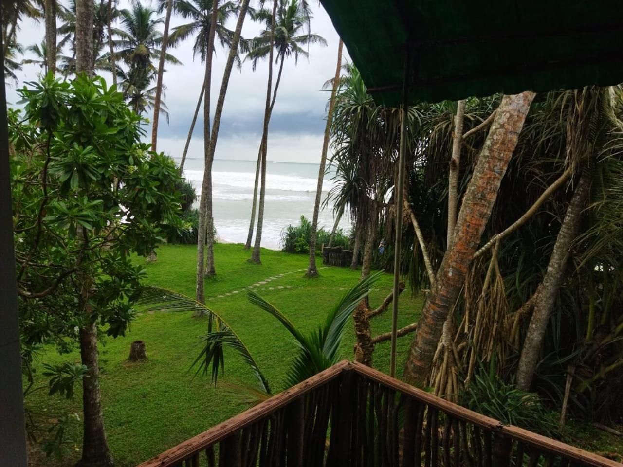 Lion Paradise Surf Beach Matara Eksteriør billede