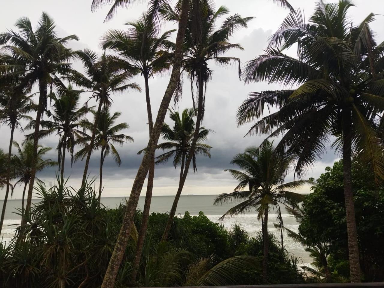 Lion Paradise Surf Beach Matara Eksteriør billede