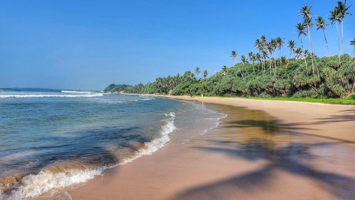 Lion Paradise Surf Beach Matara Eksteriør billede